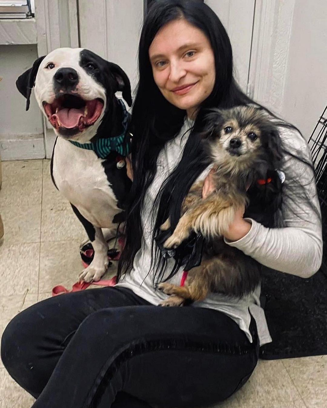 photo of woman with two dogs