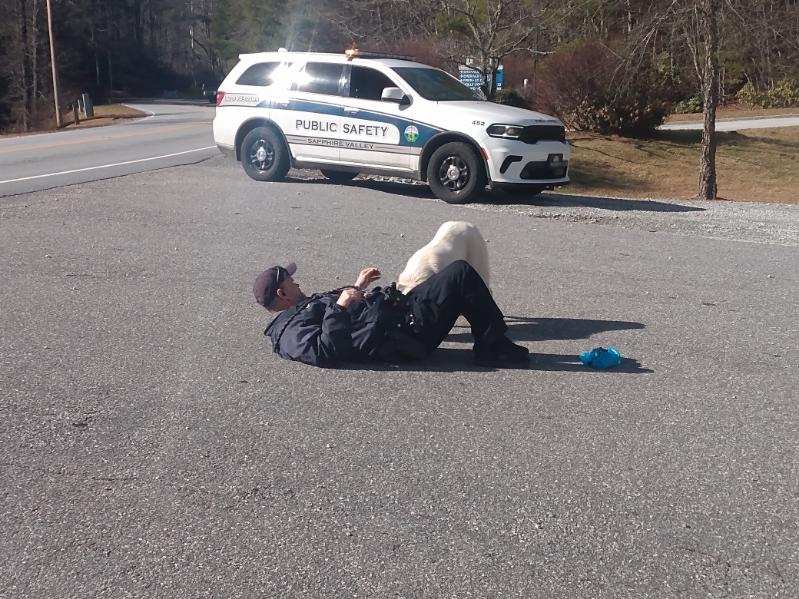 police officer laying with dog on the street