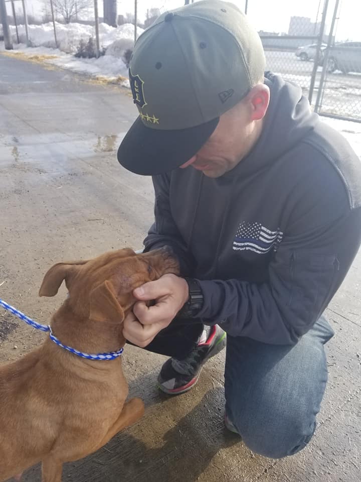police officer petting the pit bull