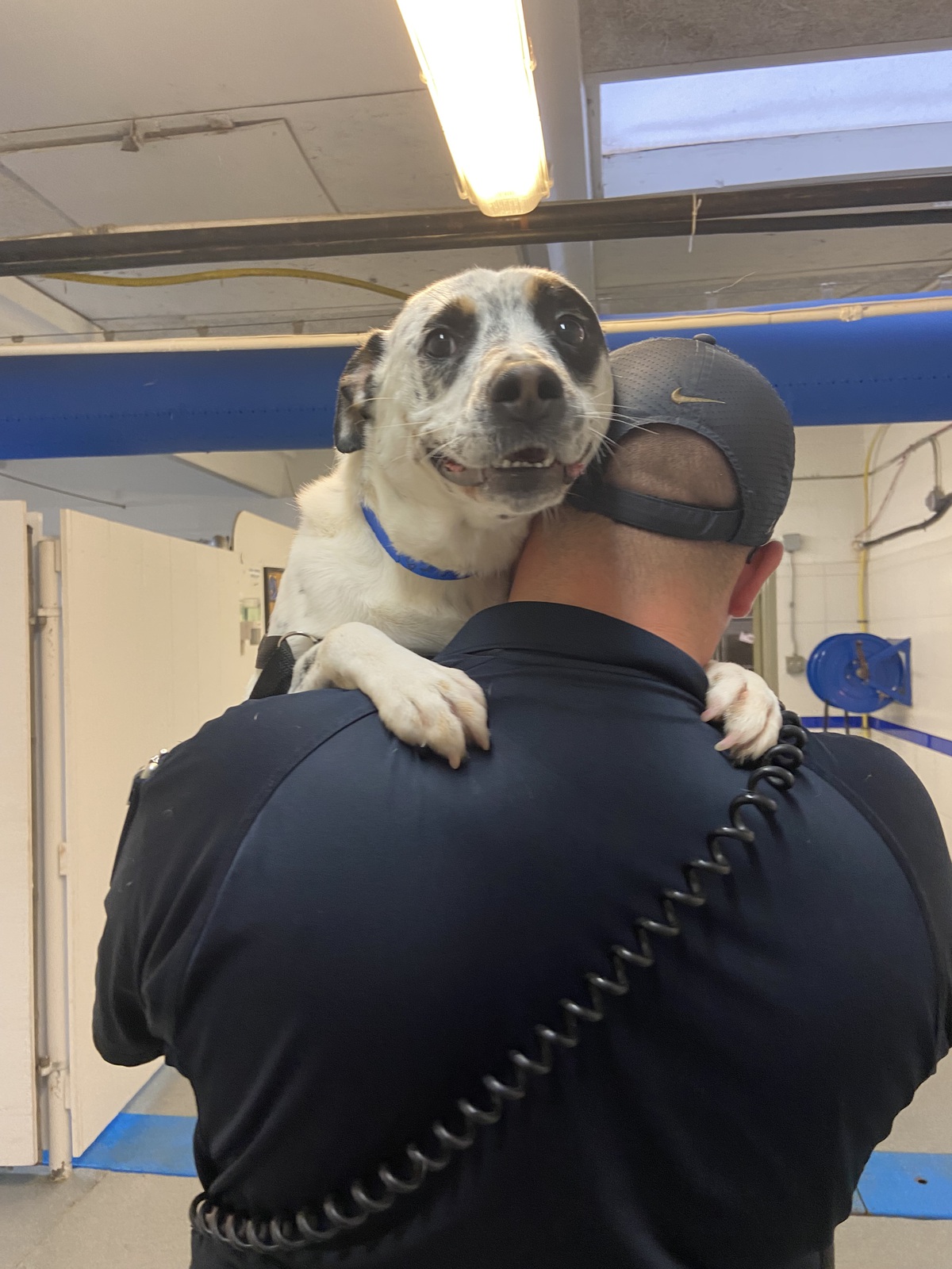 strong man holding a dog