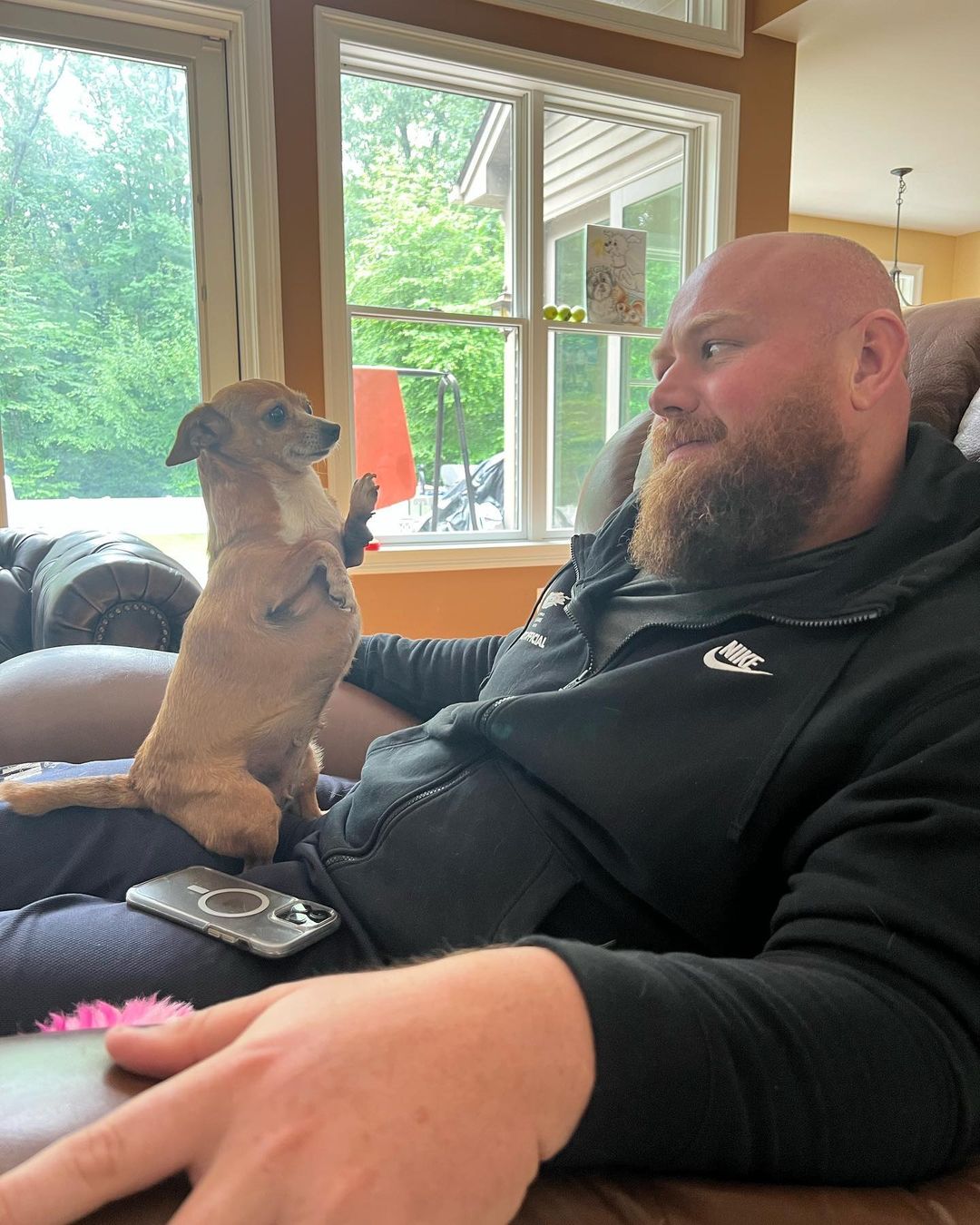 tiny dog sitting in man's lap
