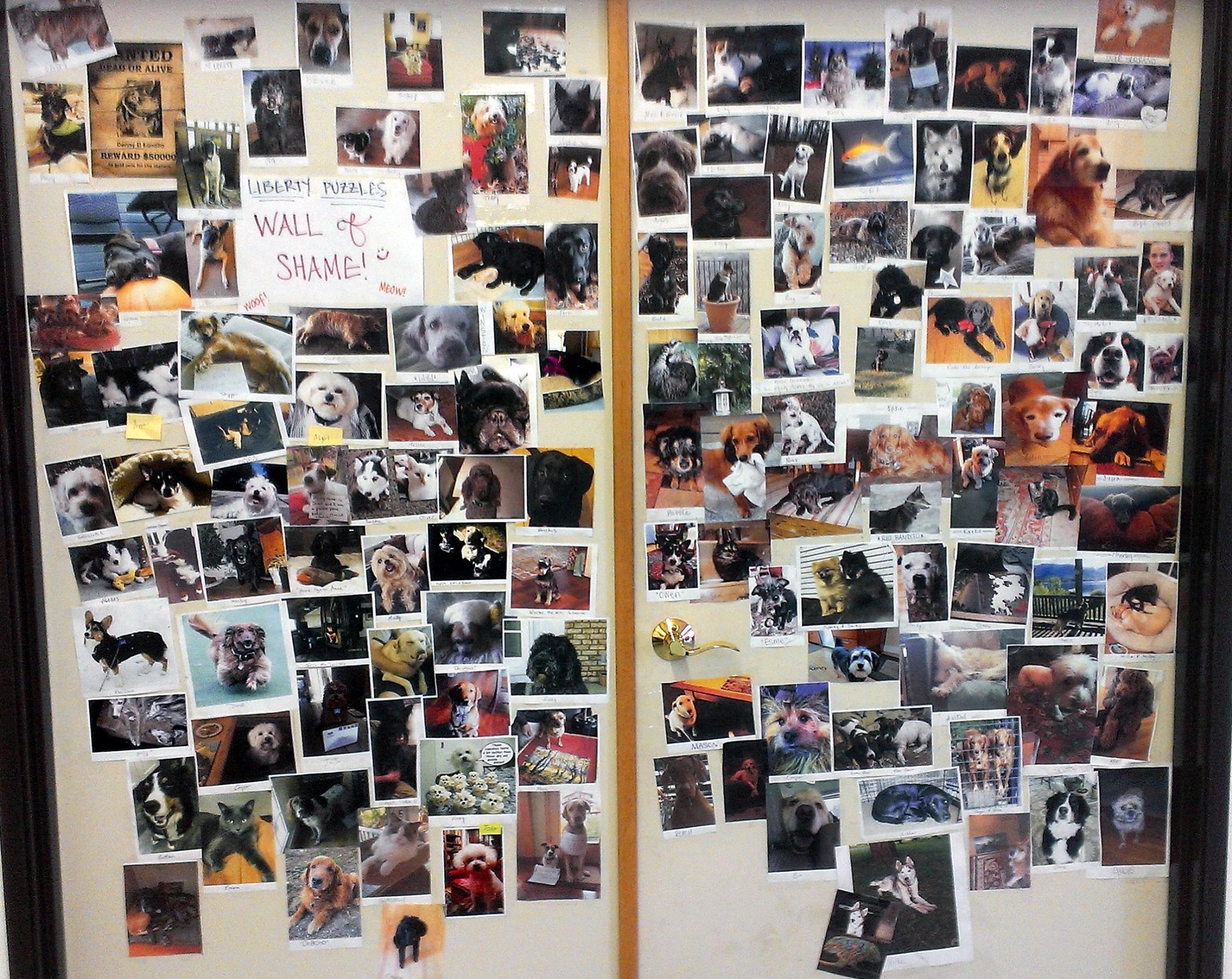 wall with dog pictures