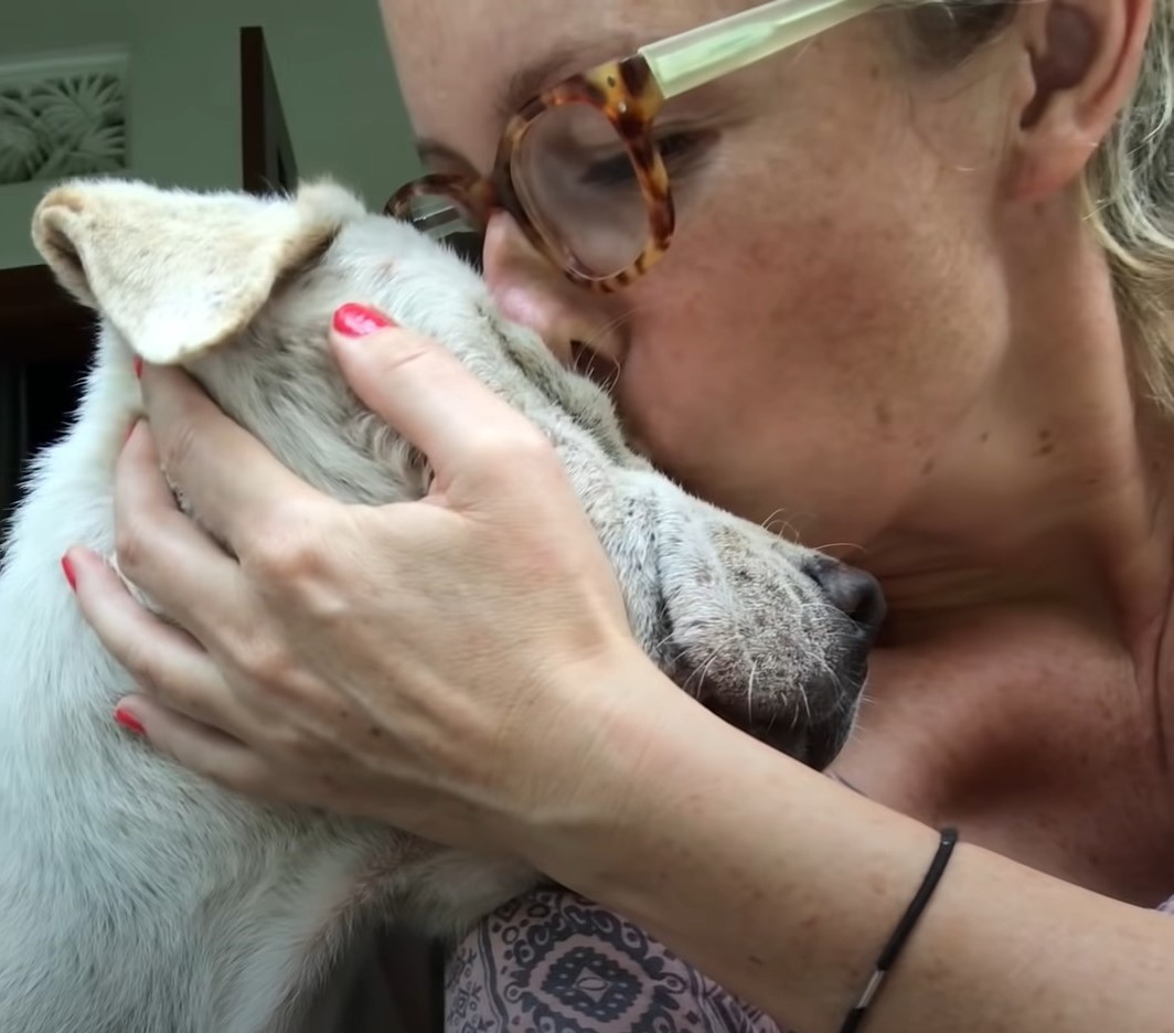 woman kissing a dog