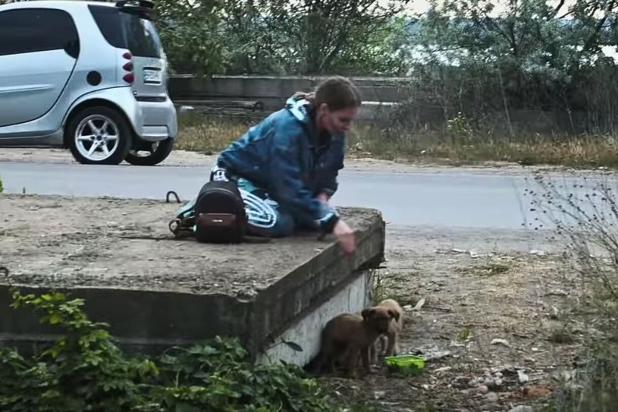 woman playing with stray puppies
