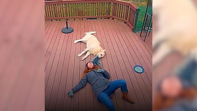 Cute dog and owner