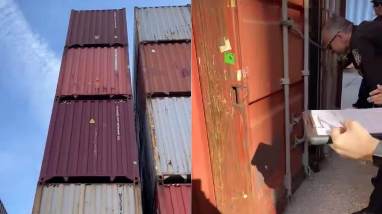 Dog in container