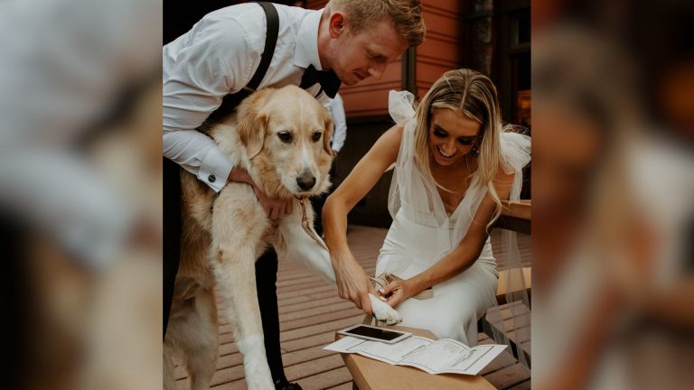 owners placing dog's paw on marriage license