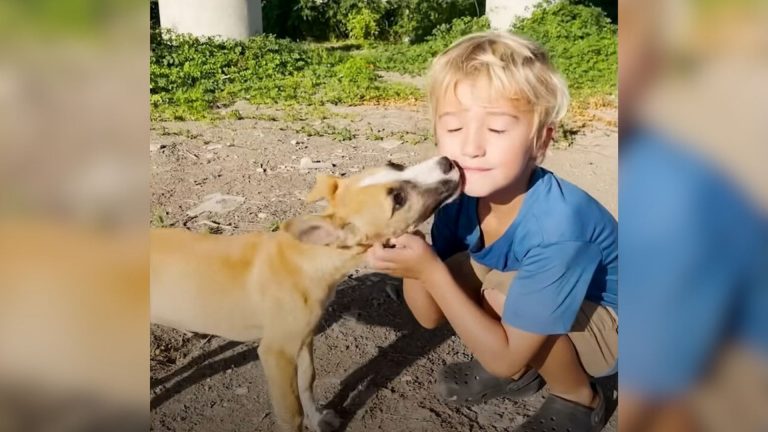 boy hugging a dog under a bridge