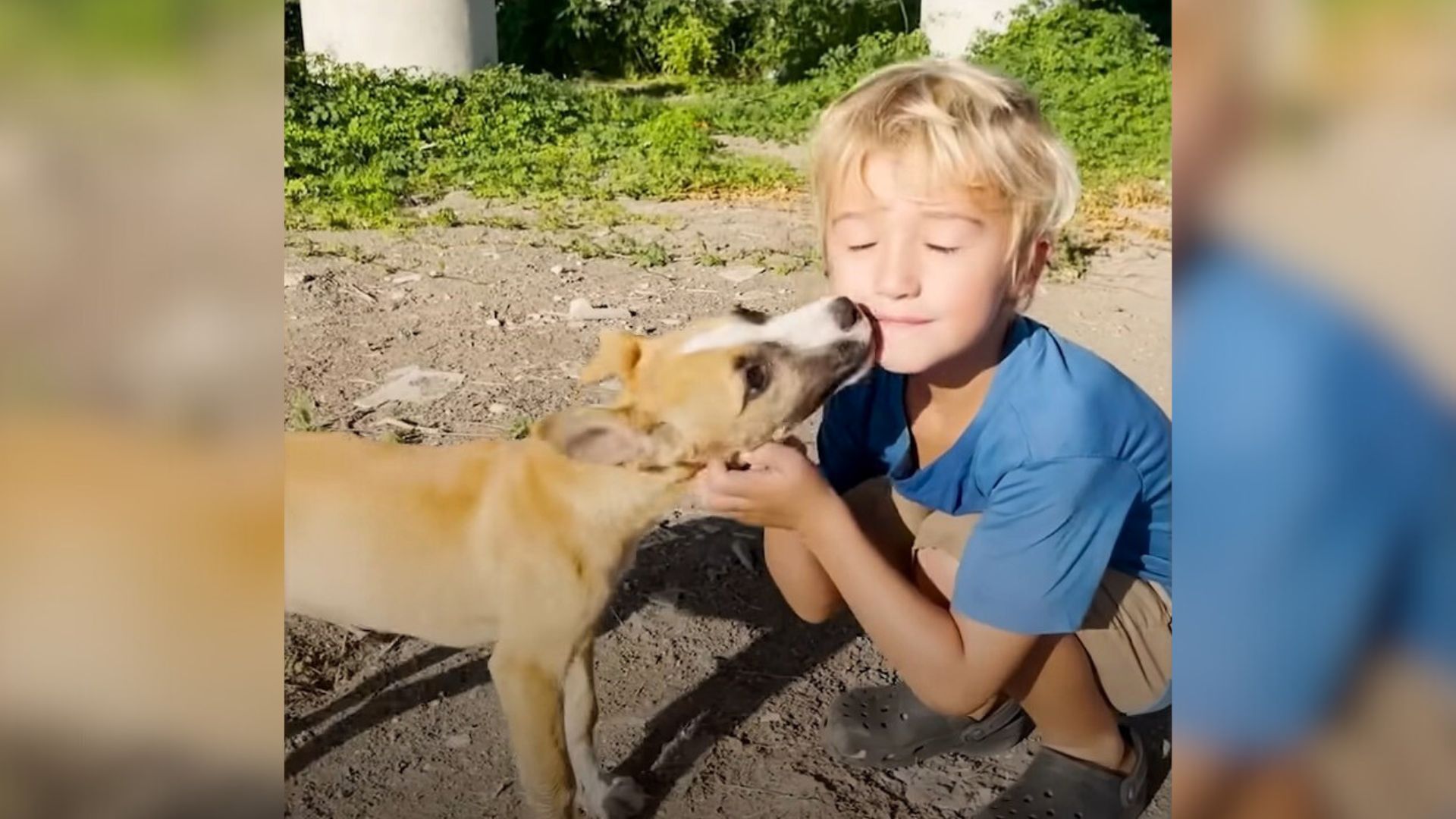 Five-Year-Old Boy Hugs The Sweet Puppies Dumped Under A Bridge And Asks His Mom To Rescue Them
