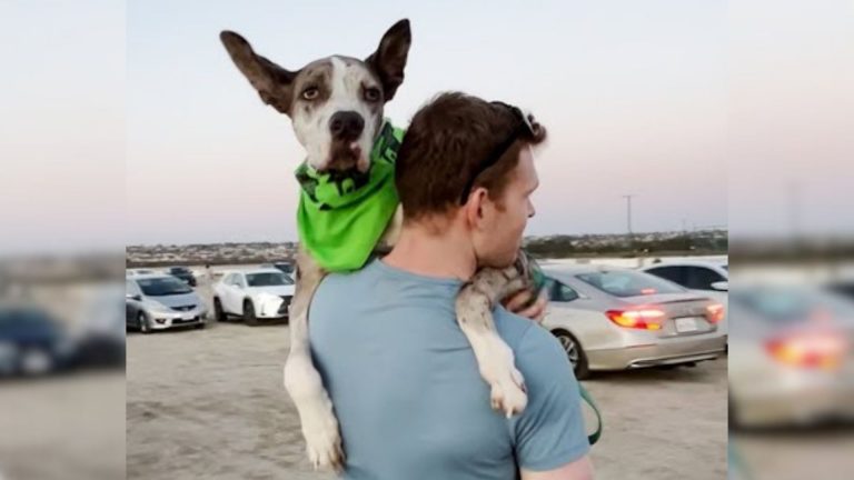 Guy holding a dog with disabilities