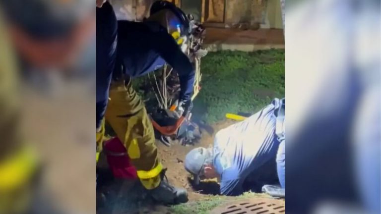 firefighters trying to save a puppy from a storm drain