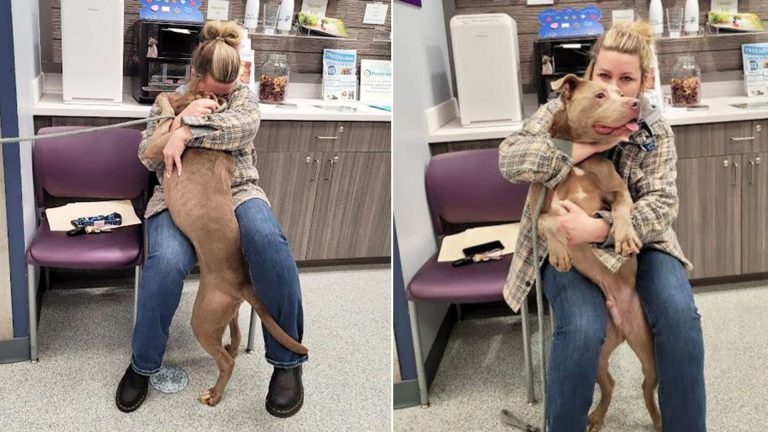 Shelter dog and woman