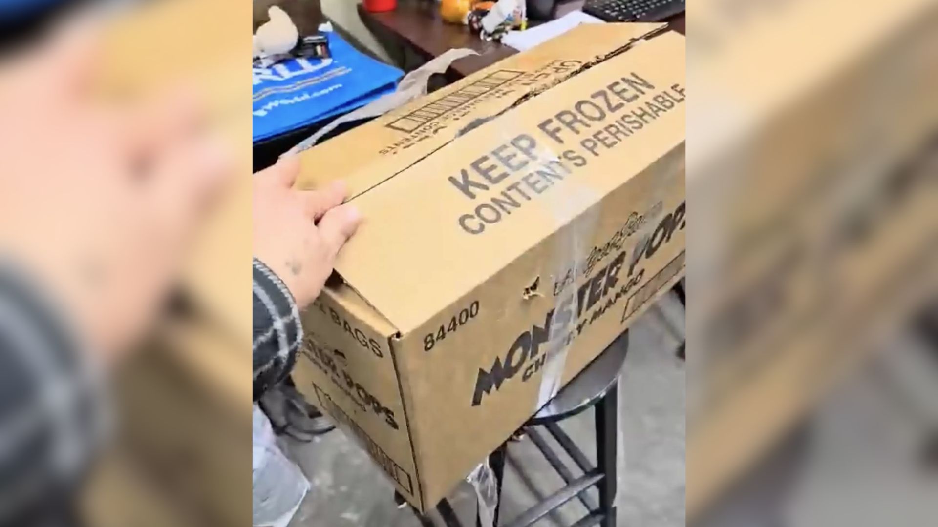 Shelter Workers Were Startled When They Found A Sealed Cardboard Box With “Someone” Inside