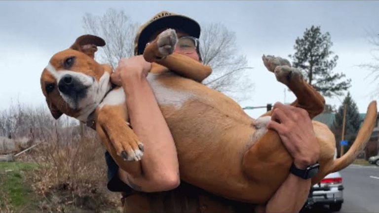 man carrying a dog