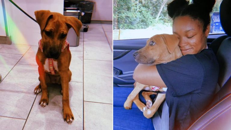 woman hugging her dog