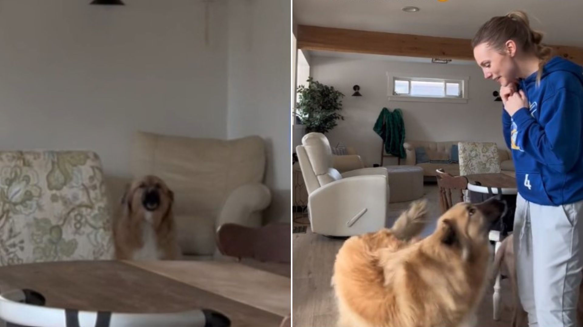 Woman Decides To Record Herself Singing, Then Notices Her Dog Doing Something Hilarious