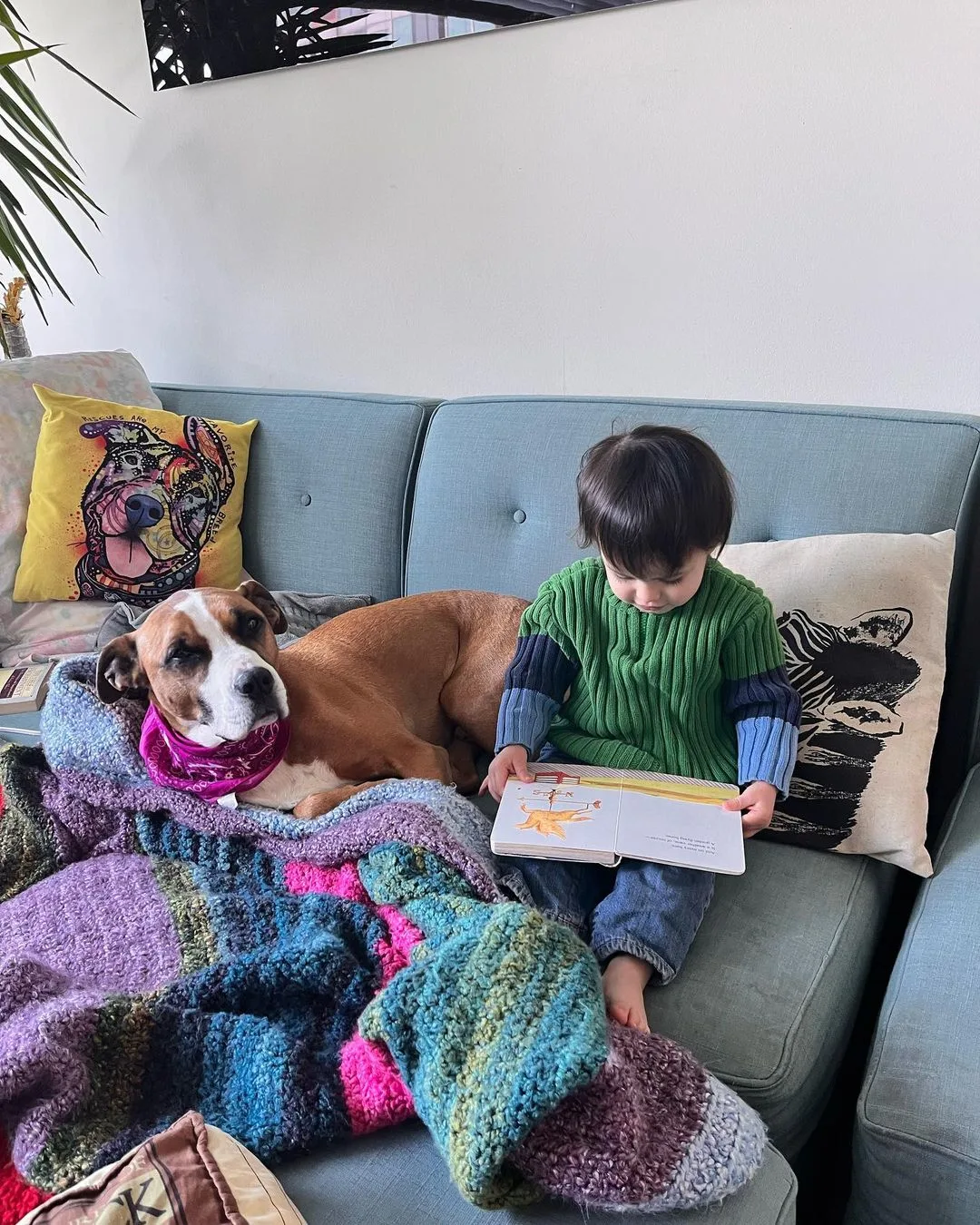 dog and little boy on a couch
