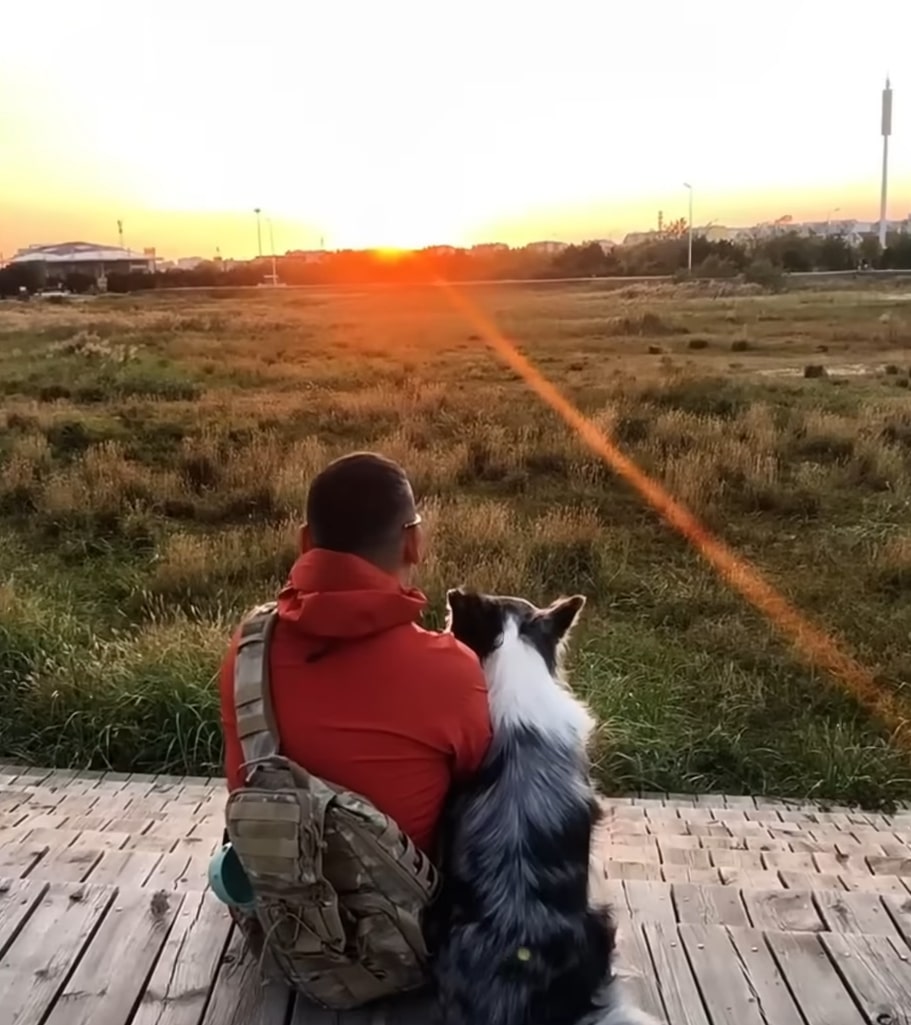 dog and man looking at sunset