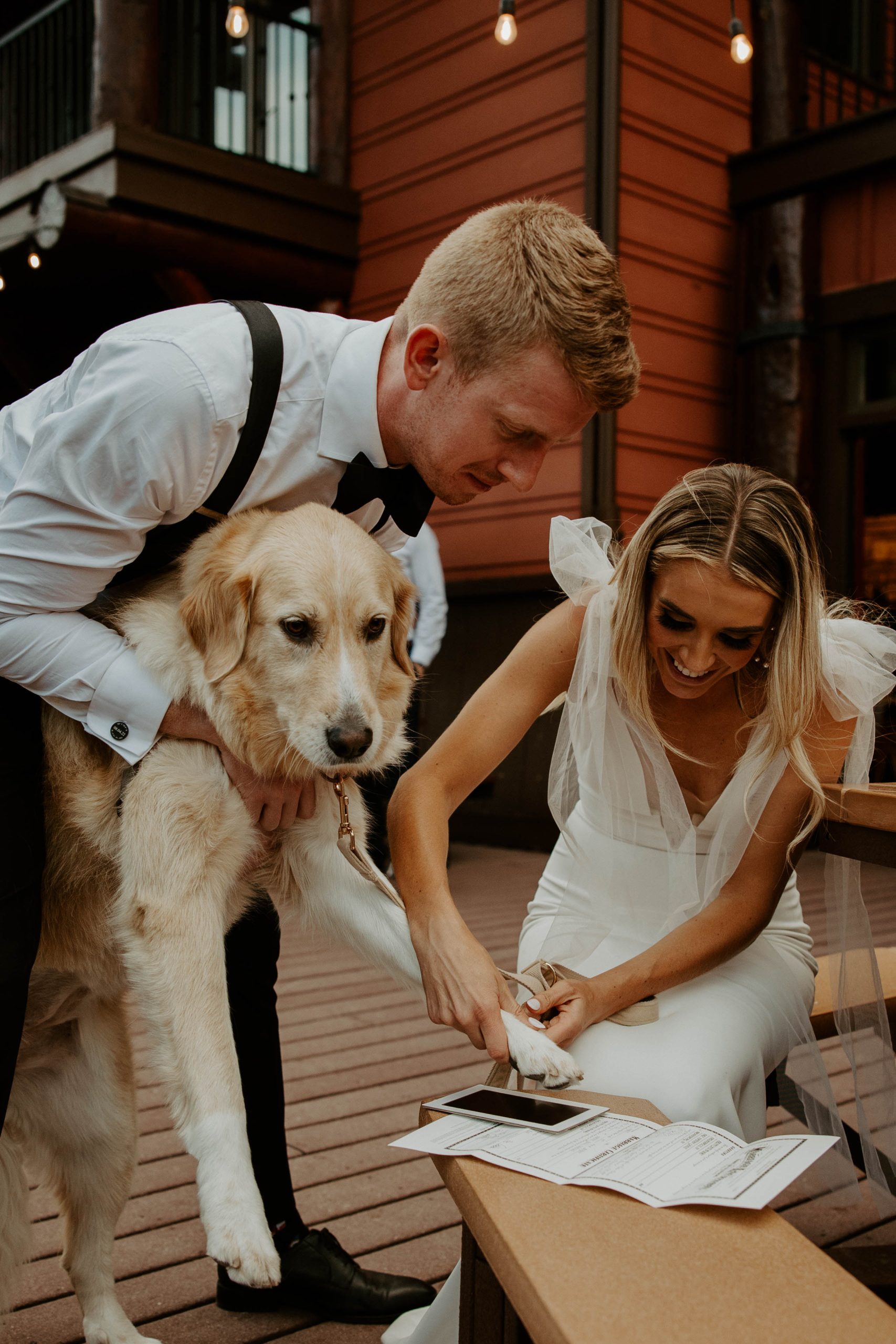 dog signing owners marriage license