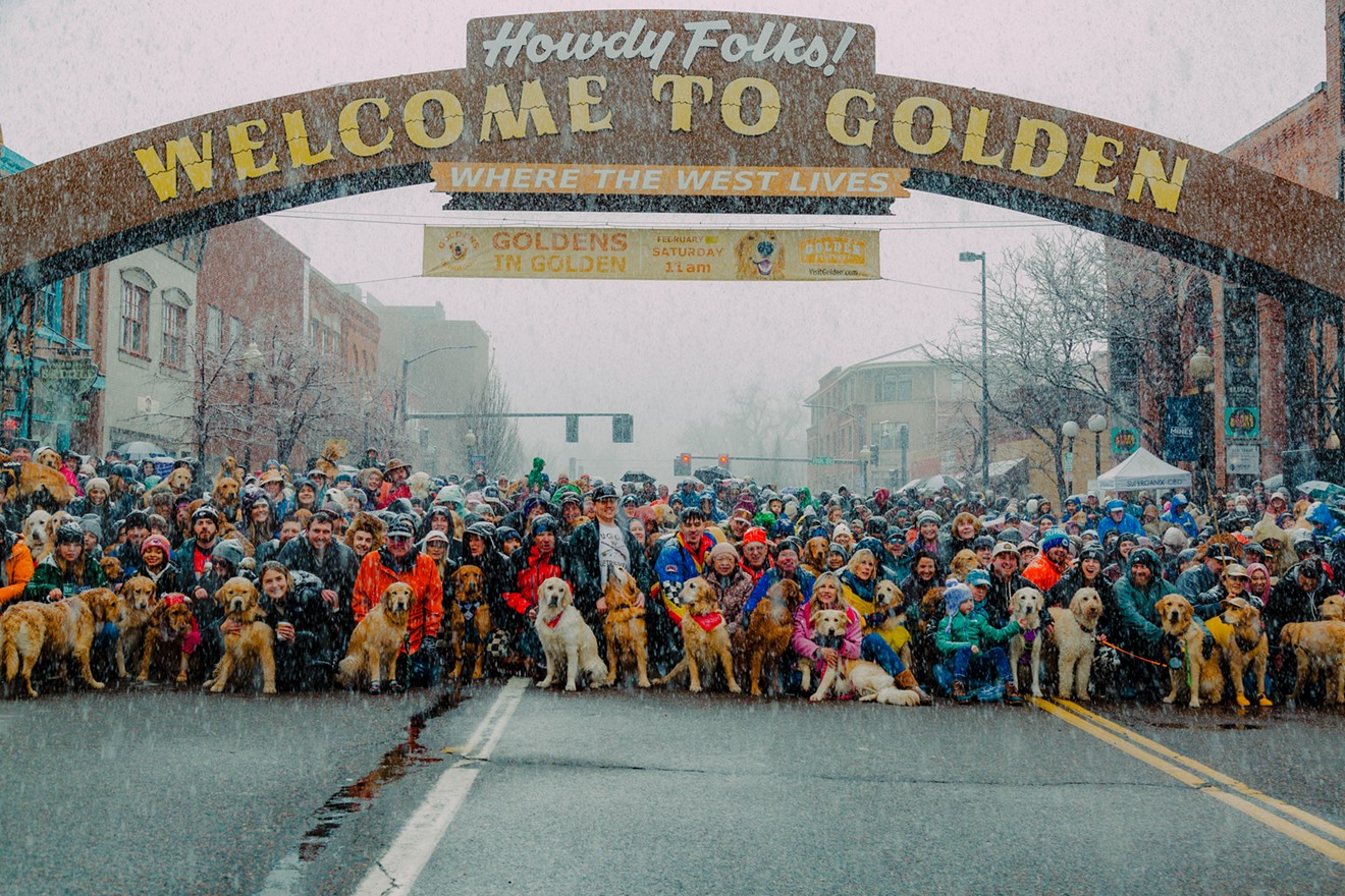 golden retrievers and owners at annual meetup
