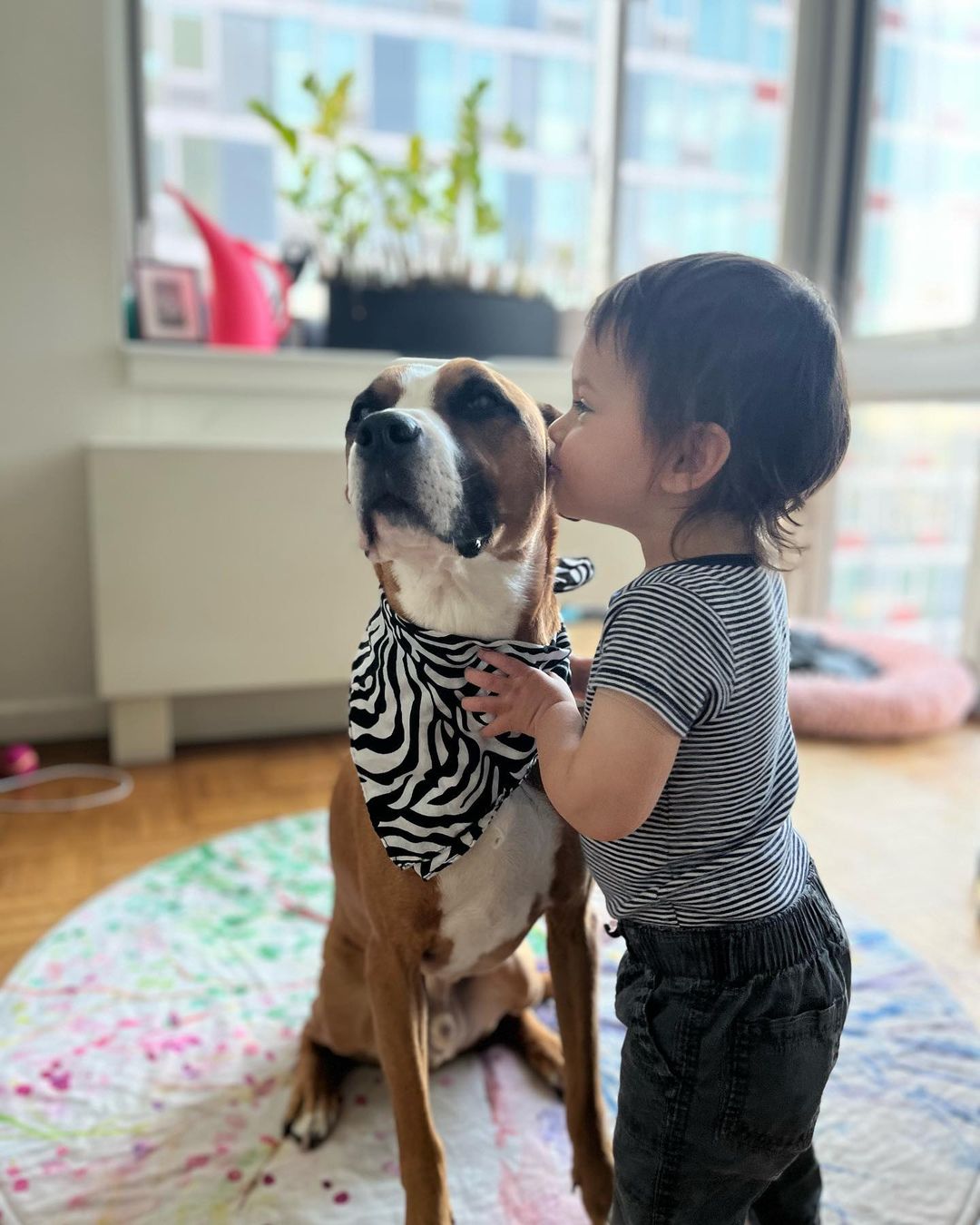 little boy giving dog a kiss