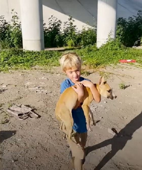 little boy holding a puppy