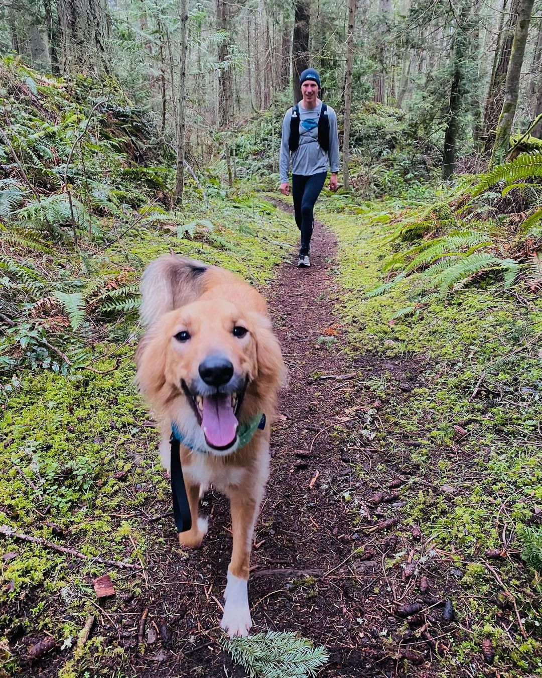 man and a dog walking in the woods