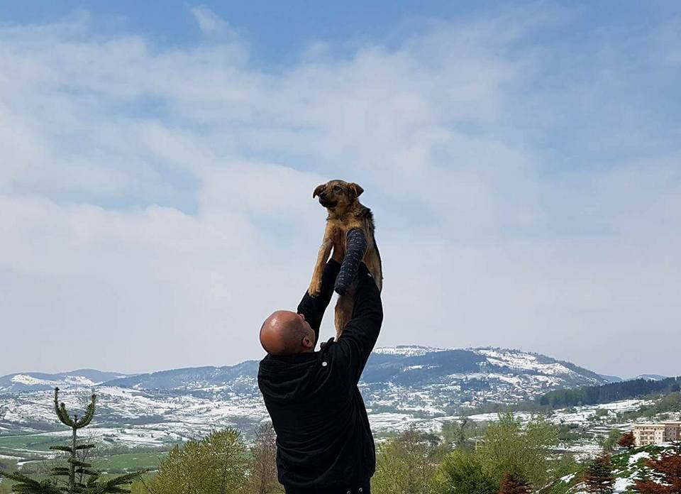 man holding dog in the air