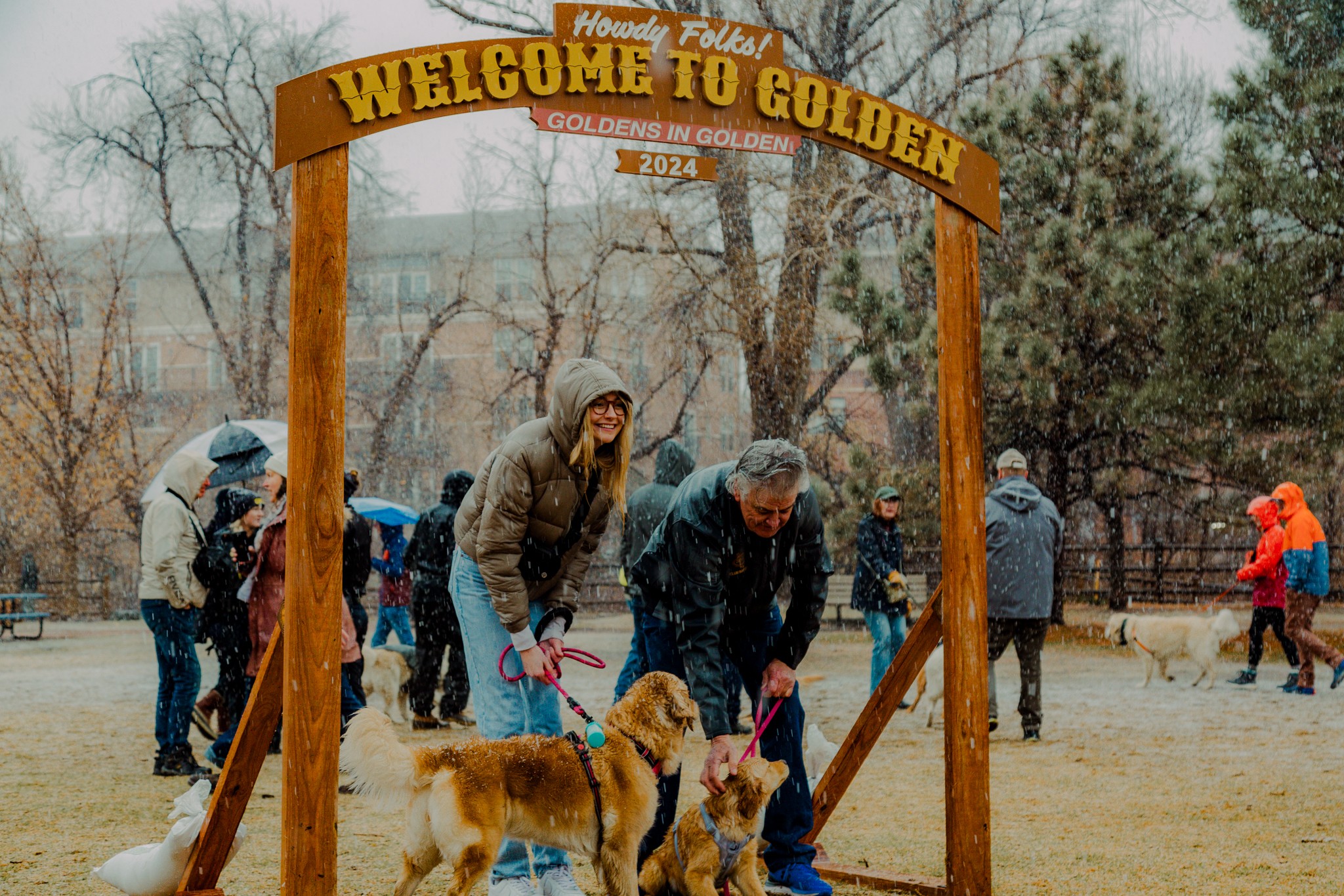 man, woman and two golden retrievers