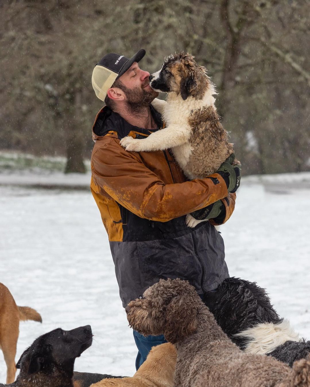 photo of man holding a dog in his arms