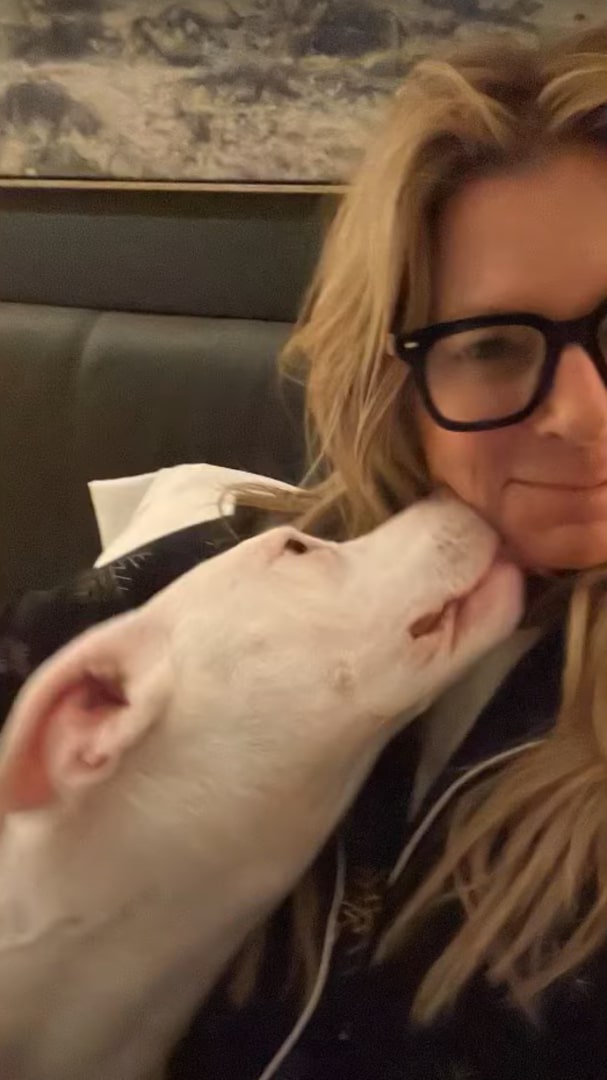 pittie licking woman's face