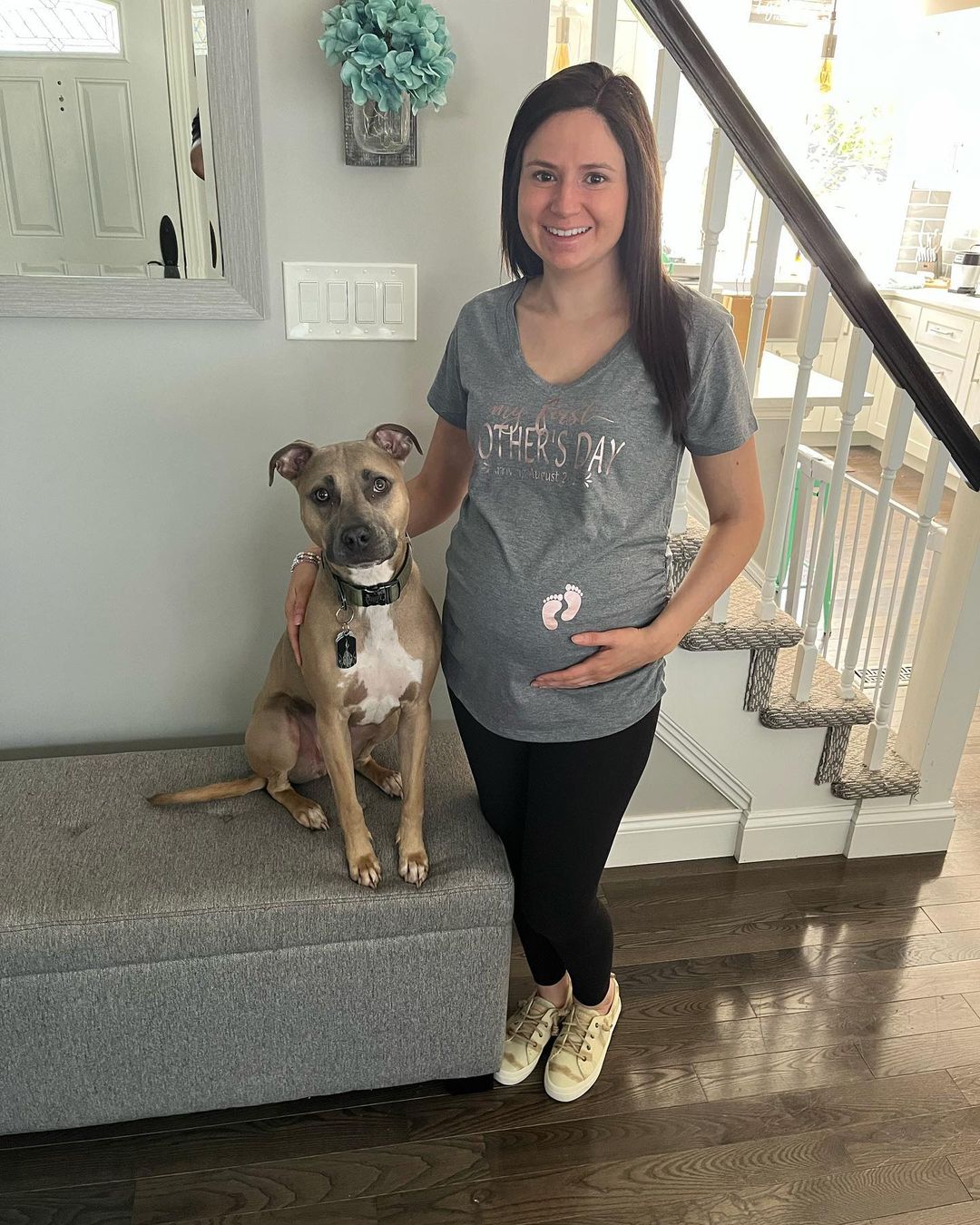 pregnant woman and a pit bull
