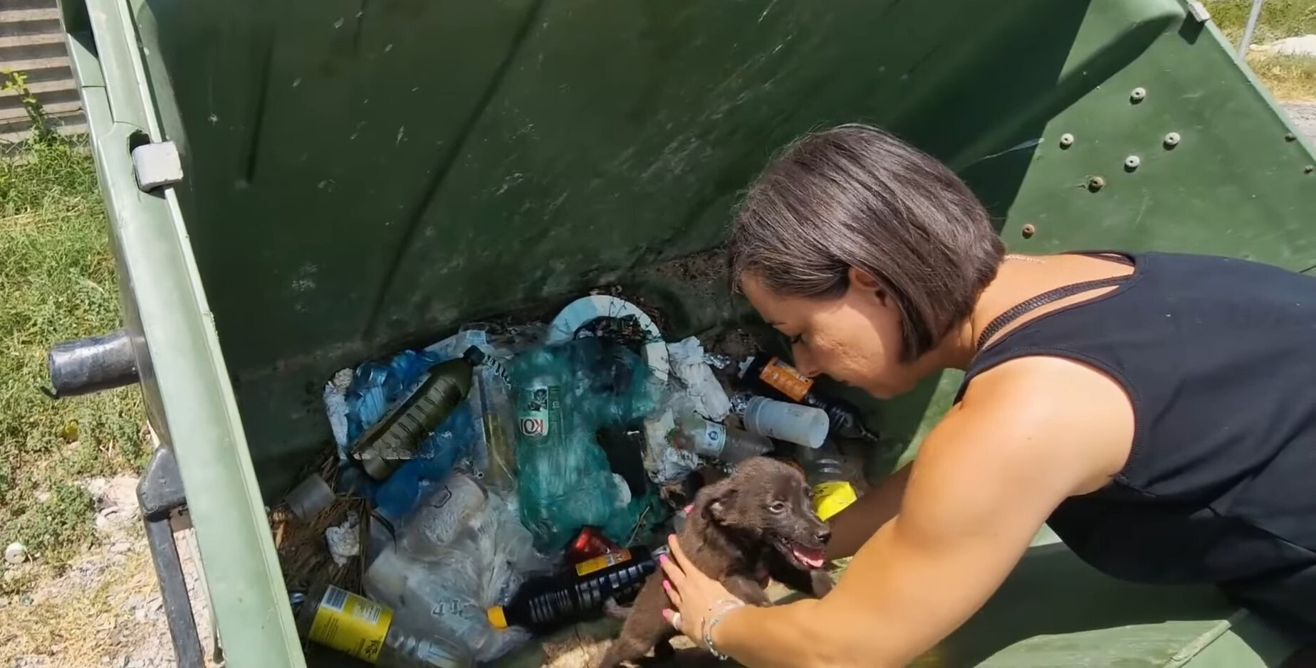 puppy abandoned in a trash