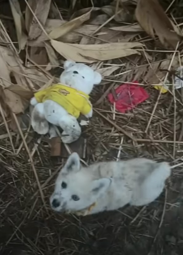 puppy and teddy bear