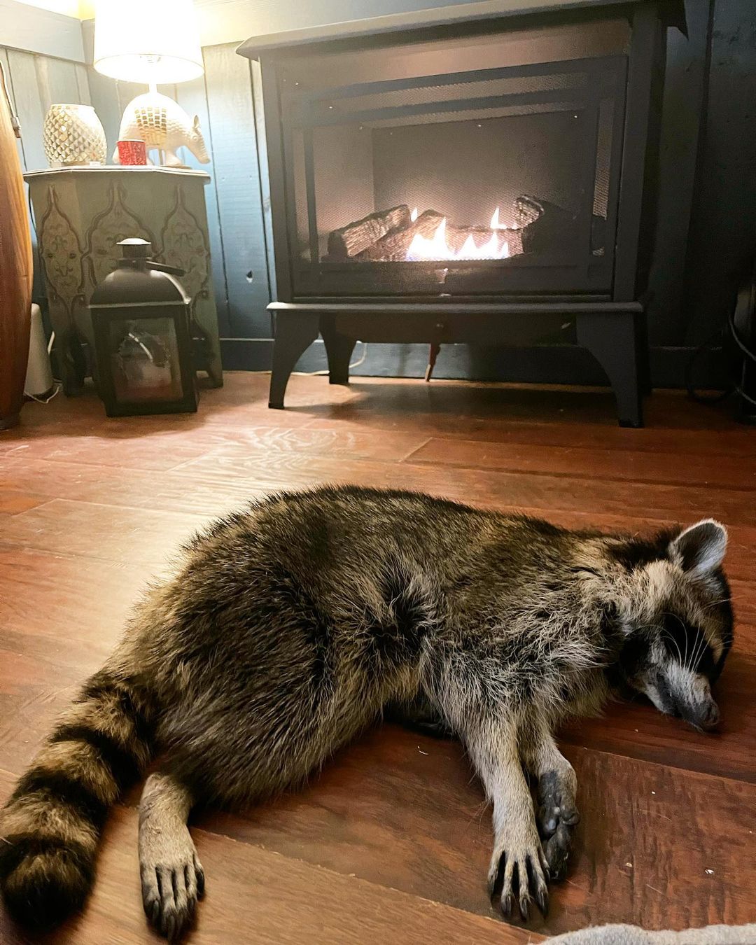 raccoon lying in front of a fireplace