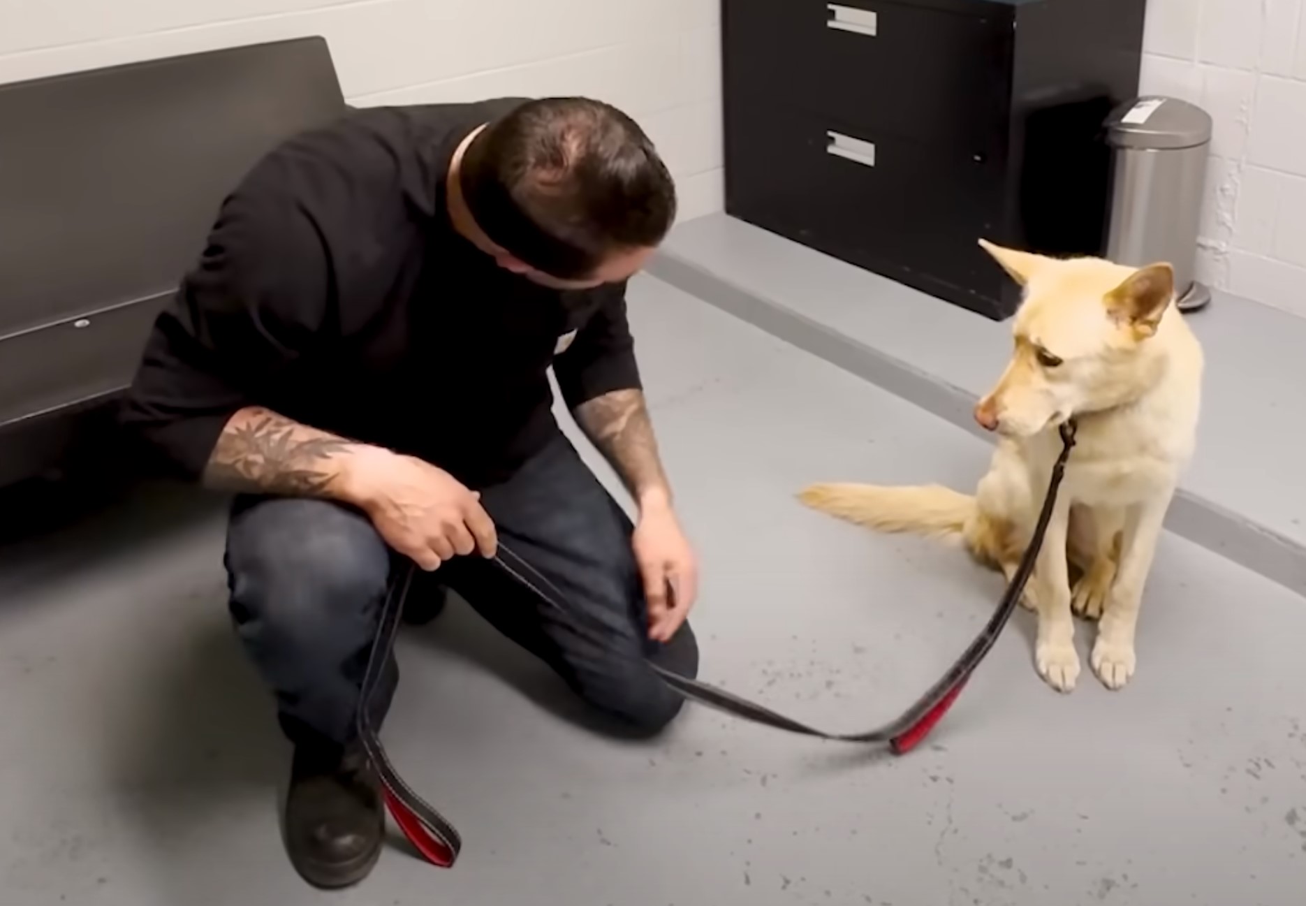 scared dog and guy