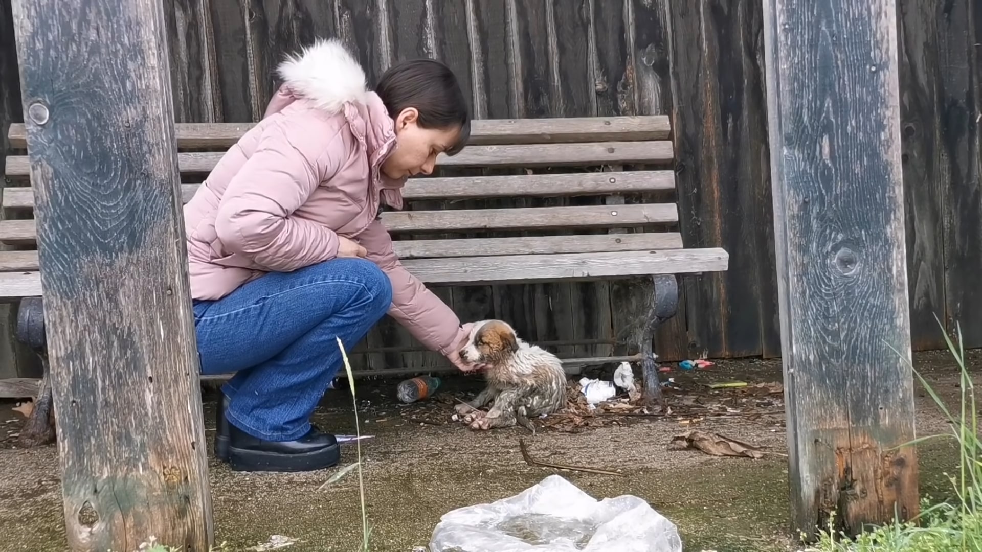 woman and abandoned puppy
