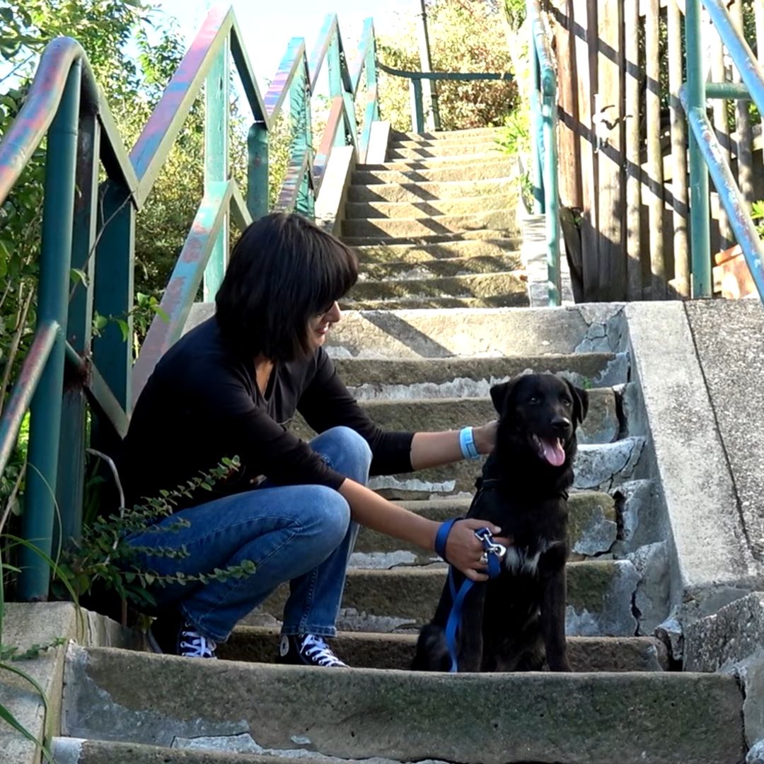 woman and dog sitting together on stairs