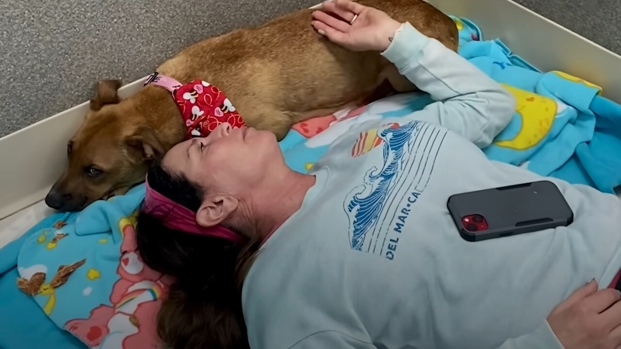 woman and her brown dog