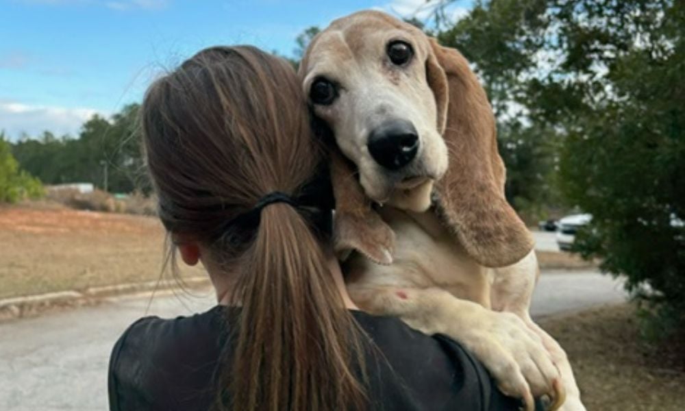 woman carrying a dog