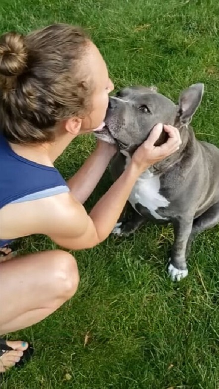 woman giving kisses to pit bull
