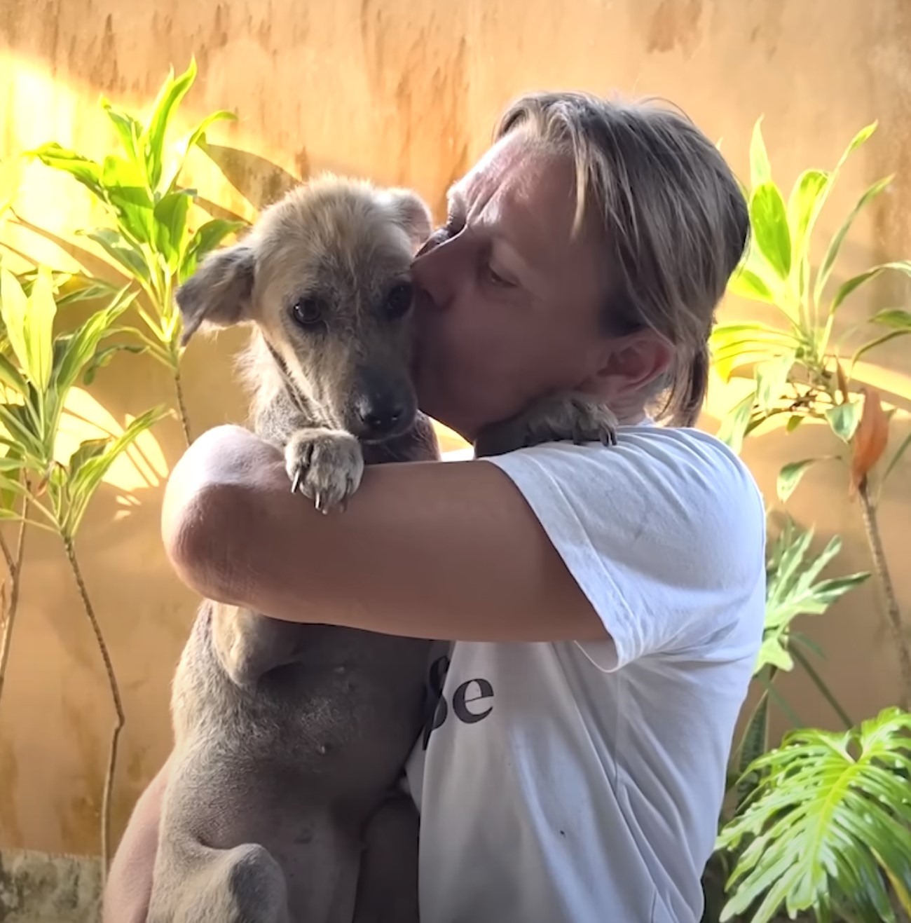 woman holding and kissing the dog