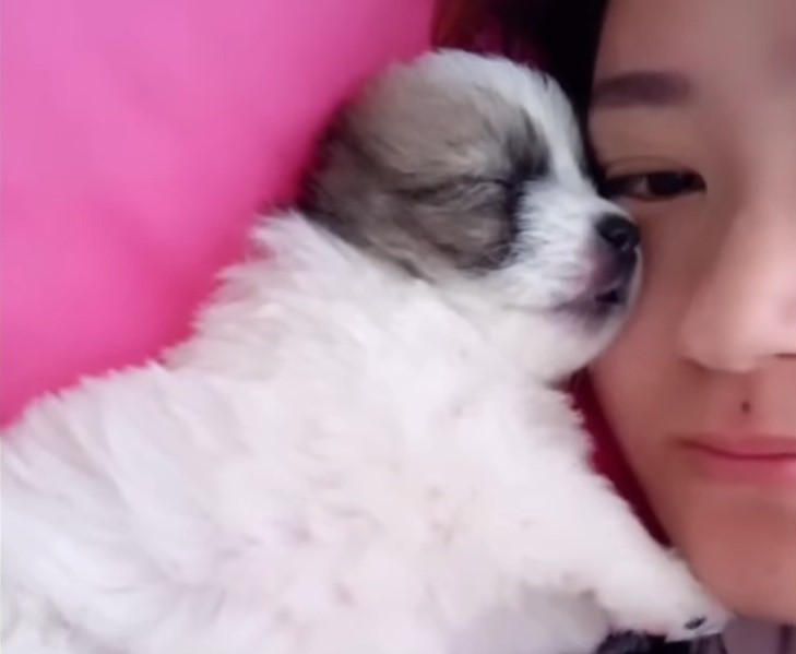 woman laying next to a puppy