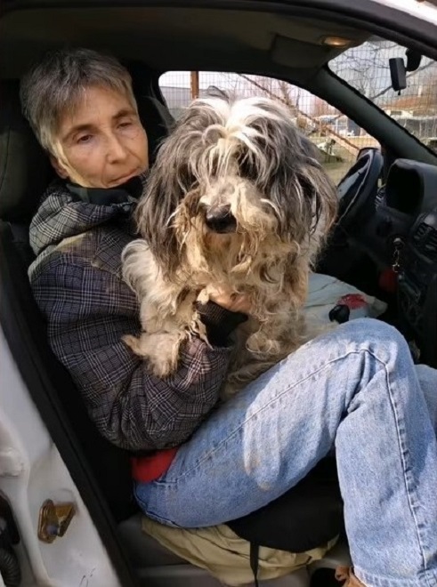 woman sitting in car holding a dog