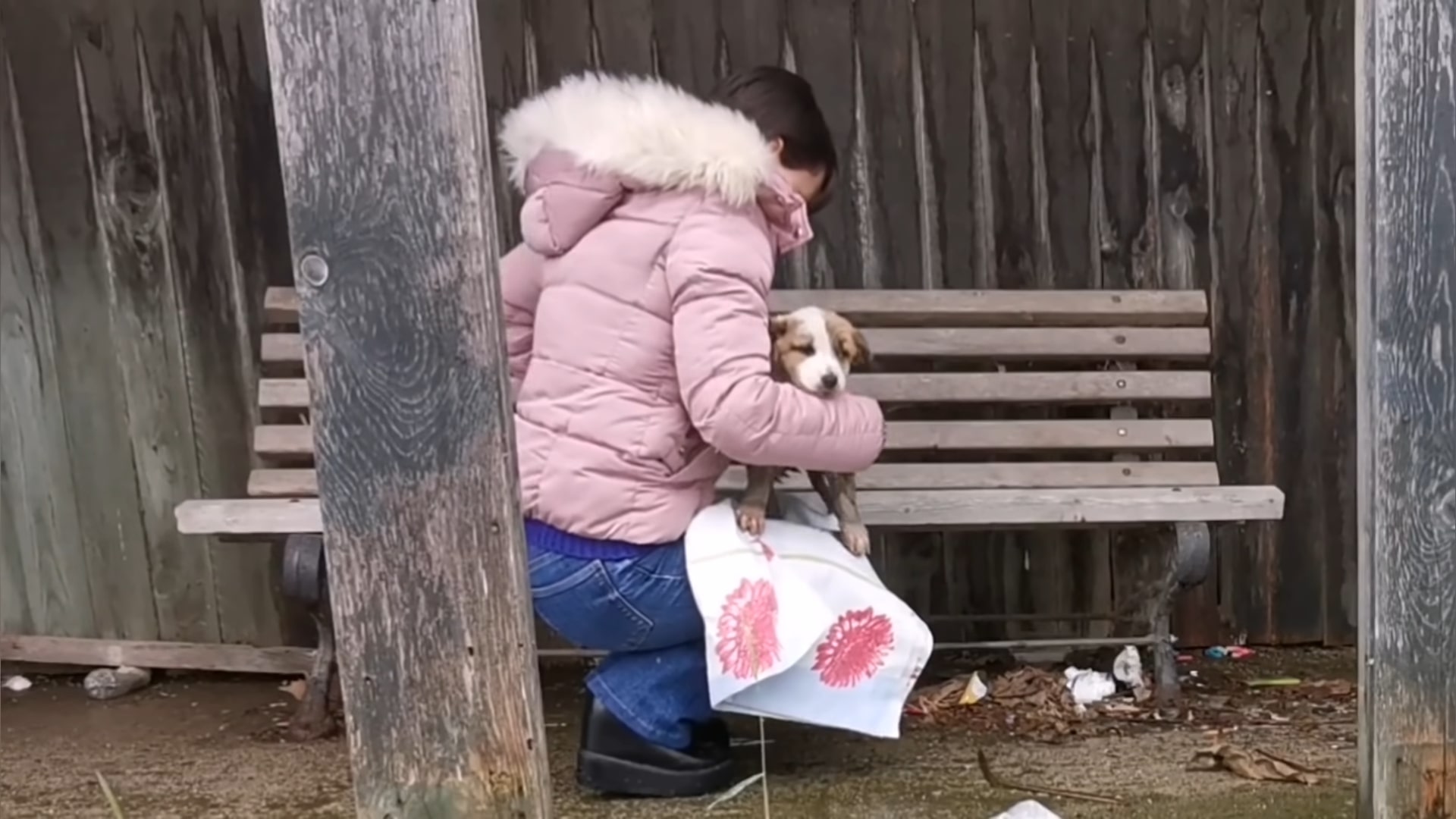 woman taking the abandoned puppy