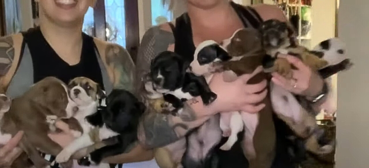 women holding many puppies