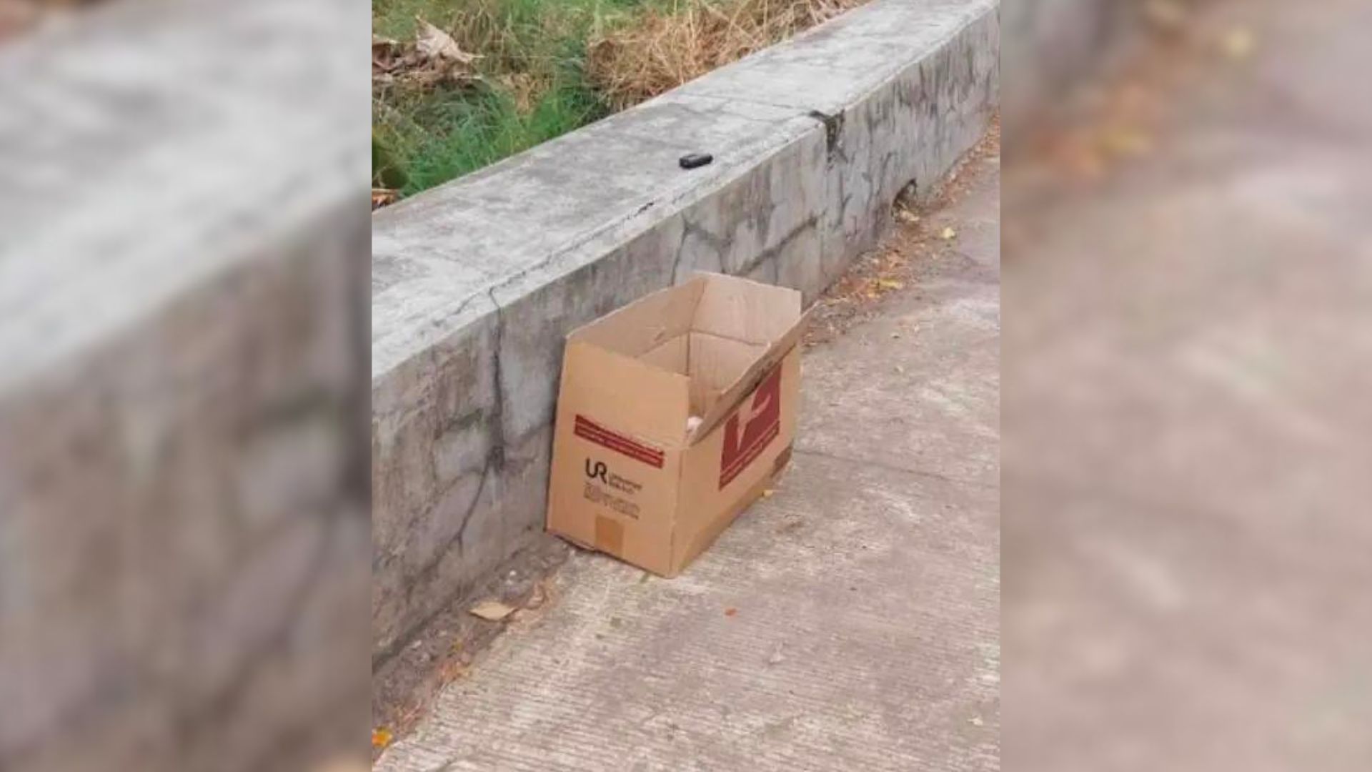 photo of a box