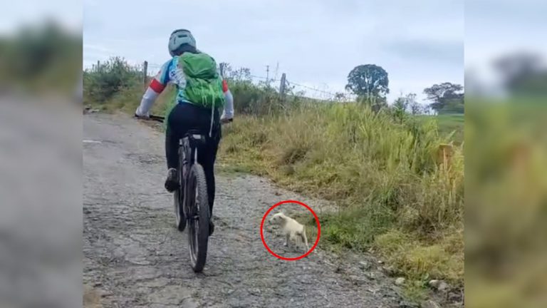 Biker and white puppy