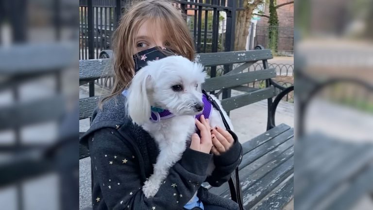 kid and dog