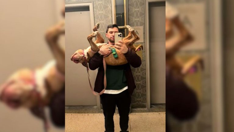man holding a dog